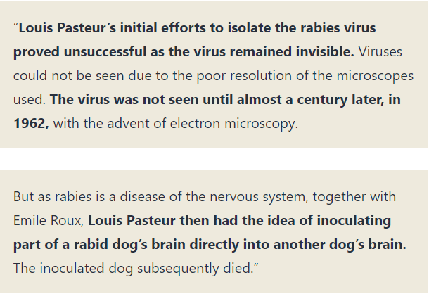 Louis Pasteur's Rabies Fraud