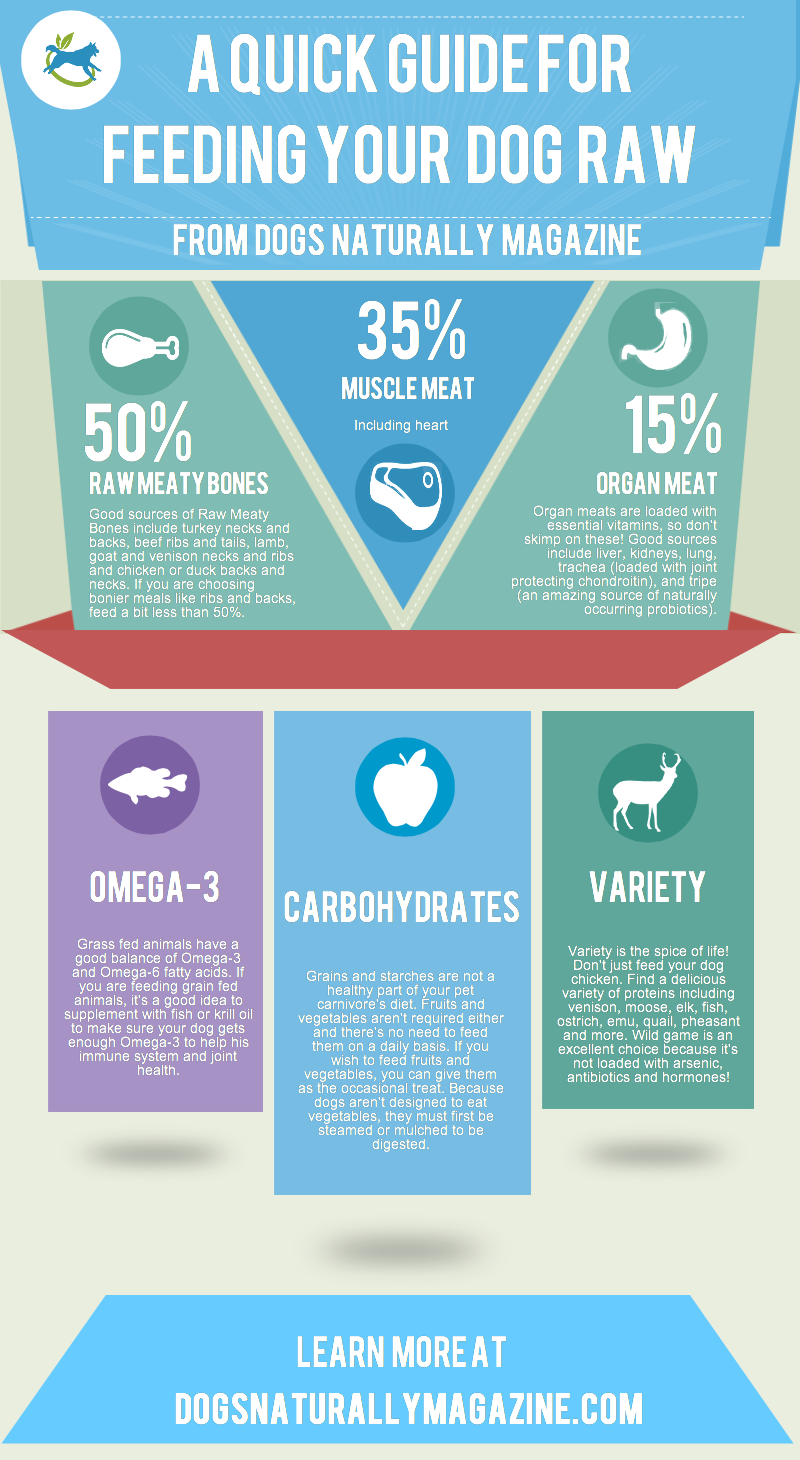 What cats and dogs ought to eat